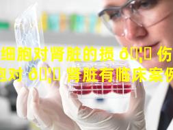 干细胞对肾脏的损 🦋 伤（干细胞对 🦁 肾脏有临床案例吗）